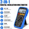 HoldPeak Tester Digitale di Resistenza di Isolamento SK505A 50-1000V 0.05MΩ-20GΩ, Megohmetro Multimetro, Strumento Combinato per Tensione AC/DC e Resistenza