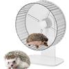 Generic Ruota silenziosa per esercizi di cincillà, per piccoli animali che corrono