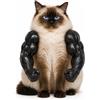 AFGQIANG Braccia muscolari per gatti, comoda spalla per cosplay felini, giocattolo leggero, accessorio per animali domestici (nero)