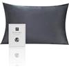 RUIPTSKE Natural Silk Federa, ipoallergenico, 22momme, 100% Seta, 600 Filati, con a Scomparsa Cerniera (Dark Grey, 50x75cm)