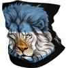 Generic Copricapo Argentina Argentinian Lion Flag Antivento Coprifaccia Adatto A Ogni Condizione Meteo Headwear per Sci Escursionismo Ciclismo 2 Pezzi