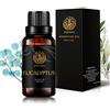 Aphrosmile Aromaterapia olio essenziale eucalipto, 1oz-30ml Aromaterapia olio essenziale di eucalipto Profumo per diffusore,umidificatore, terapeutico Grade eucalipto fragranza olio essenziale per massaggi,casa