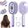 HBSFBH Pettine elettrico per massaggio a cuscino d'aria, Pettine districante antistatico 3 in 1 e massaggio con cuscino d'aria, Piastra per capelli a vapore ricaricabile con spray, ideale per una spa