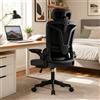 HDHNBA Sedia da Ufficio Ergonomica con Supporto Lombare Adattivo, Sedia da Scrivania in a Rete con Braccioli Ribaltabili e Schienale Reclinabile, Sedia per Computer Alta, Nero