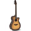 Applause Chitarra - Chitarre Elettroacustiche Jump Om Electro Cut Gloss - Tobacco Burs...