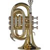 GEWA Germany Tromba - Tromba Pocket In Sib Pt650 Ambition - Pt650