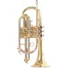 Roy Benson Strumenti A Fiato - Vari - Cornetta In Sib Roy Benson Cr-202 - Cr-202