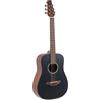 Applause Chitarra Acustica - Chitarra Acustica Wood Classics Aat96-4s Travel - Satinat...