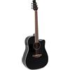 Applause Chitarra - Chitarre Elettroacustiche Wood Classics Aed96-5hg Black Gloss Elec...
