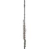 Roy Benson Flauto - Flauto Traverso Roy Benson Fl-402e - Fl-402e