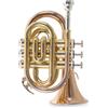 Roy Benson Tromba - Tromba Pocket In Sib Roy Benson Pt-101g - Pt-101g