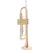 Roy Benson Tromba - Tromba In Sib Roy Benson Tr-202g - Tr-202g