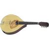 GEWA Mandolino - Mandola Pro Arte - Lucido