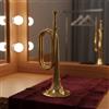Tromba In Ottone Incisa, Suono Forte, Tromba Cerimoniale Per Processione,