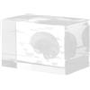 PACKOVE Fermacarte in Cristallo a Forma di Cubo Rappresentazione Anatomica 3d del Cervello Umano, Decorazione Educativa e Strumento Didattico per Studenti di Medicina