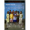 Film - Born Into Brothels - Dvd
