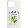 Amalfi Coast Italian Summer Lemons Desig Custodia per iPhone 16 Pro Max Costiera Amalfitana Italiana Estate Italia Limoni