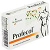 Profenix Profecol 20 compresse 18 g