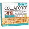 Benessere Farmacia Collaforce osteo 20 bustine