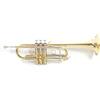 Roy Benson C-Trumpet TR-402C (tromba versatile, con accordatura commutabile da Do a Sib, inclusa pratica custodia rettangolare a zaino), laccata.
