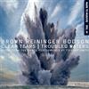Steven Brown / Blaine Reininger / Maxime Bodson - Clear Tears/troubled Waters...