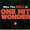 One Hit Wonder - Who The Hell Is One Hit Wonder - Cd