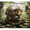 Gov't Mule - Life Before Insanity / Dose - 2 Cd