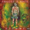 Shaggy 2 Dope - F.t.f.o.m.f. - Cd