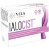 VELA FARMACEUTICI SRLS Ialocist 14 stick 4 g