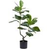Pianta Artificiale Ficus Chic H90 cm a 2 Rami con Vaso Nero - Enzo De Gasperi (EDG)
