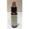 LABORATORIO ERBORISTICO DI LEO Fiori Di Bach 27 Rock Water 10 Ml Di Leo