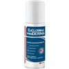 DOMPE' FARMACEUTICI S.P.A. EUCLORINA PRODERMA SP125ML