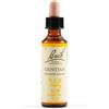 SCHWABE PHARMA ITALIA SRL GENTIAN BACH ORIG 20ML
