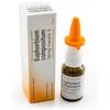 GUNA SPA EUPHORBIUM COMP.SPY NASHEE