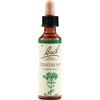 SCHWABE PHARMA ITALIA SRL CENTAURY BACH ORIG 20ML