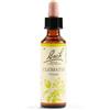 SCHWABE PHARMA ITALIA SRL CLEMATIS BACH ORIG 20ML