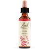 SCHWABE PHARMA ITALIA SRL ELM BACH ORIG 20ML