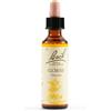 SCHWABE PHARMA ITALIA SRL GORSE BACH ORIG 20ML