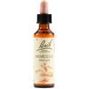 SCHWABE PHARMA ITALIA SRL MIMULUS BACH ORIG 20ML