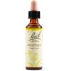 SCHWABE PHARMA ITALIA SRL MUSTARD BACH ORIG 20 ML