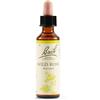 SCHWABE PHARMA ITALIA SRL WILD ROSE BACH ORIG 20ML
