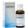GUNA SPA LYMPHOMYOSOT GTT