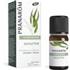 HERBALGEM ITALIA S.R.L. PRANAROM BIO EUCALY'PUR30M