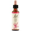 SCHWABE PHARMA ITALIA SRL OAK BACH ORIG 20ML