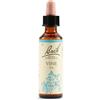 SCHWABE PHARMA ITALIA SRL VINE BACH ORIG 20ML