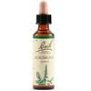 SCHWABE PHARMA ITALIA SRL AGRIMONY BACH ORIG 20ML