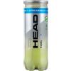 Head Tubo Palline da padel Head Padel Pro+