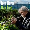 HighNote Records Oak Tree