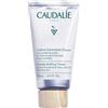 Caudalie Vinotherapist™ Duo stick Labbra 75 ml Crema