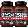 T-Rex Integratori Creatina Monoidrato Micronizzata Polvere Frutti di B